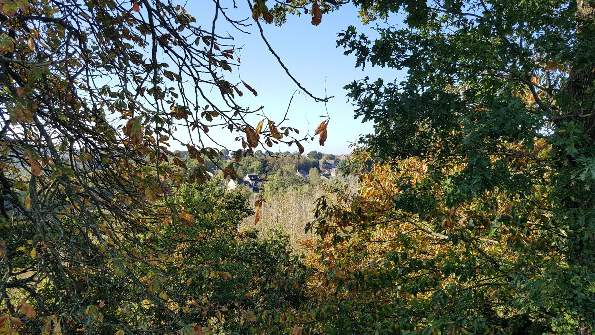 Vue sur le village de Vieux Vy sur Couesnon